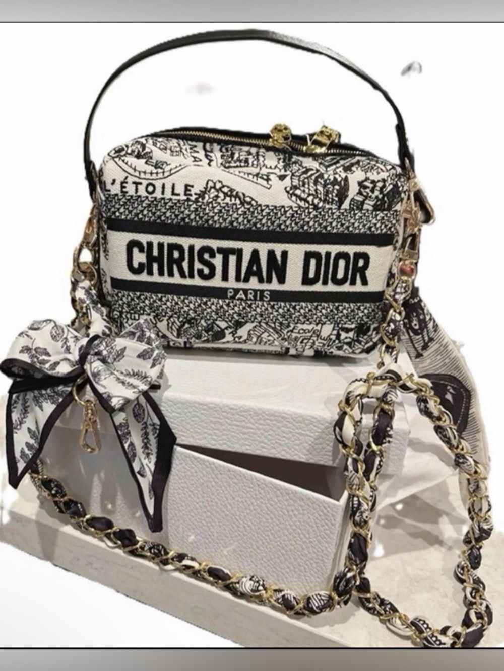 Christian Dior Plan de Paris Canvas Embroidered Cosmetic Pouch
